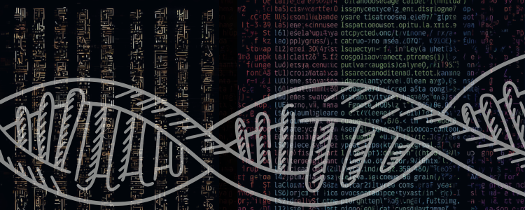 Sur les traces de Champollion